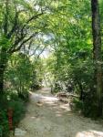 Path to S_ Baume-provence2010