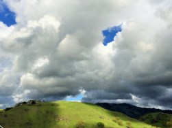 IMG_3395 (4)