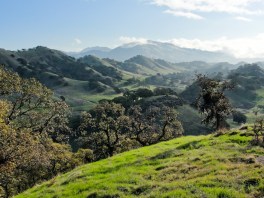 Mount_Diablo_from_Quarry_Hill_in_Shell_Ridge_Open_Space