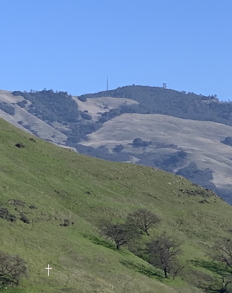 ADCA260B-D73F-4397-B958-08C57CAB0DB8_1_201_a