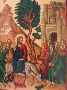 Palm Sunday2