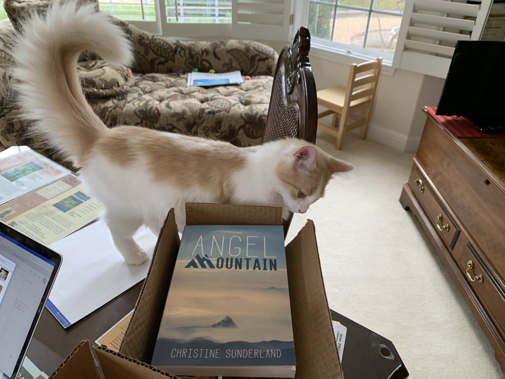 088A74B8-27CA-43EC-8E98-FDADC41FC3FF_1_105_c