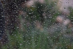 rain-on-a-window